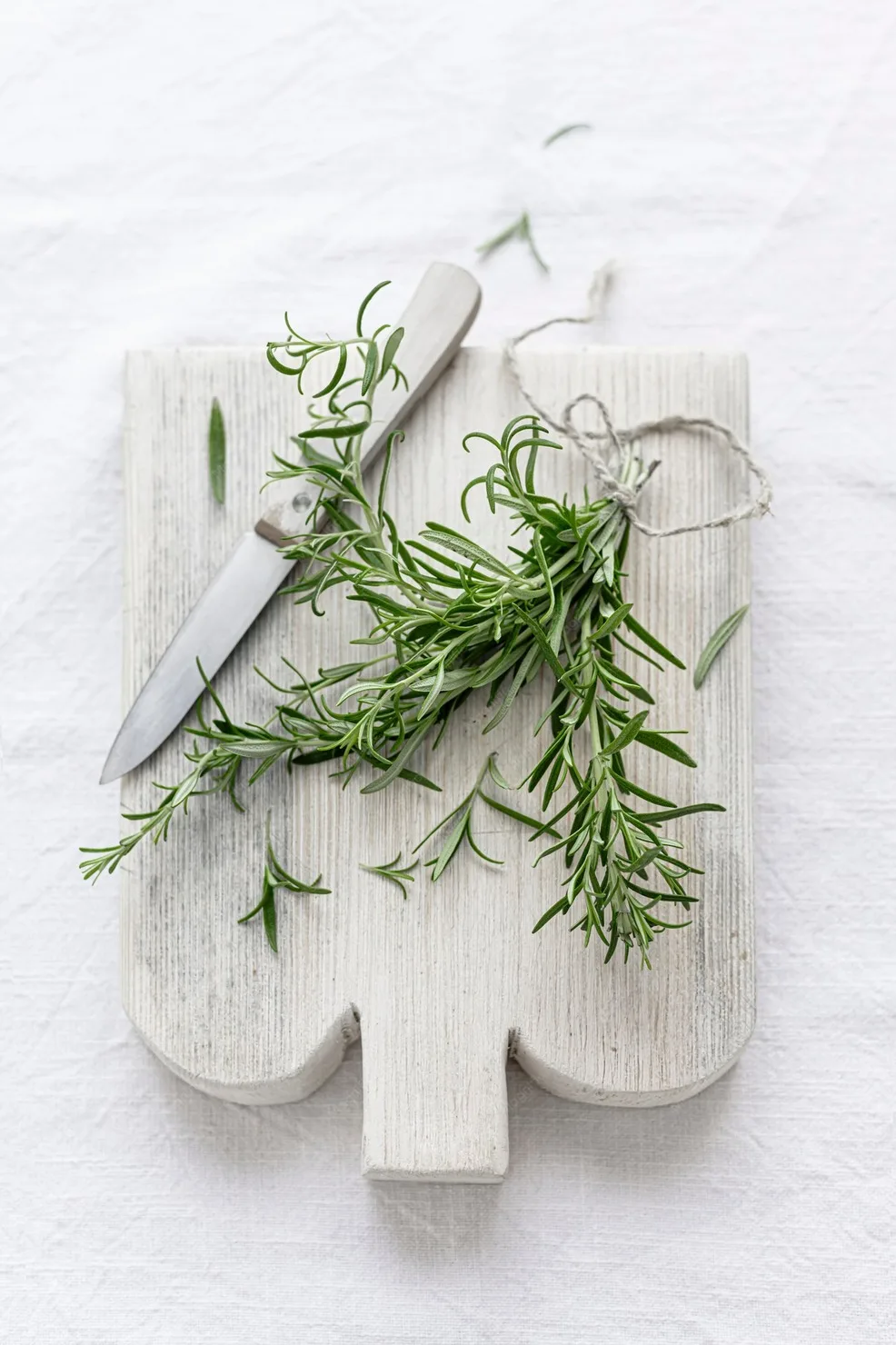 Rosemary herb leaves